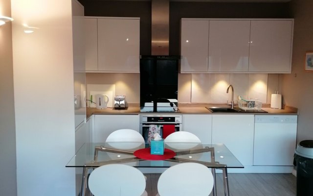 Beautiful and Modern Apartment in North London