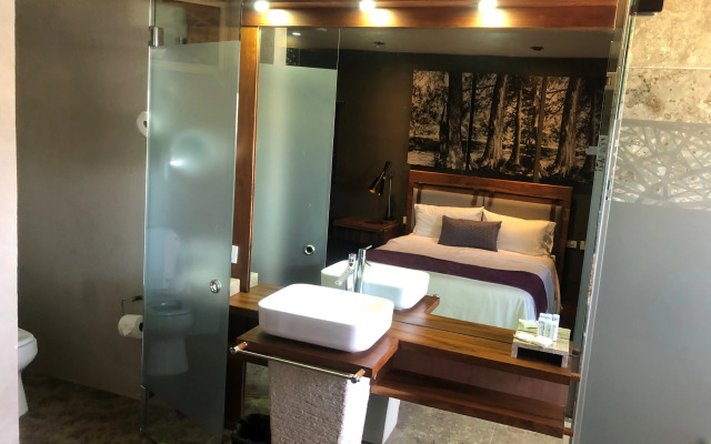 Gamma Rincón de Santiago