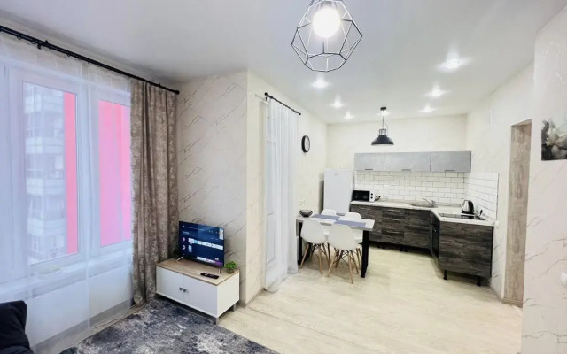 Саквояж на улице Алексеева 46