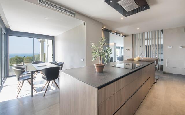 TH85-Limonium-9 in Tarragona