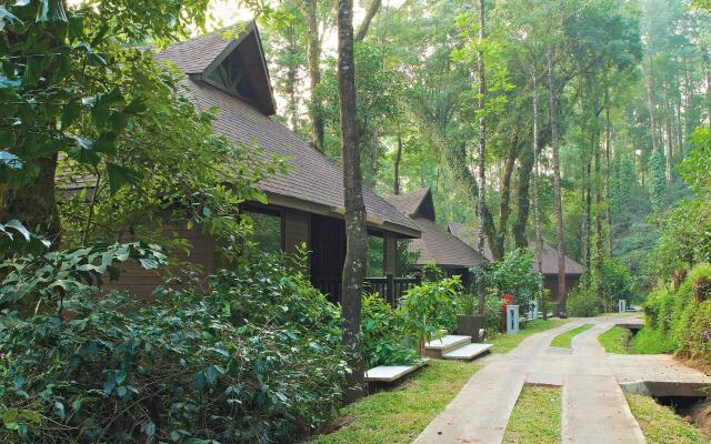 The Tamara Coorg