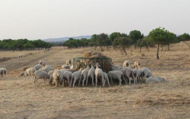 Sesmarias Turismo Rural & SPA