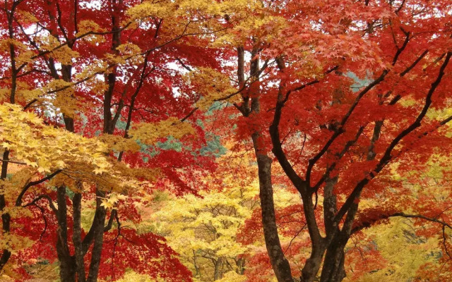 Kuroishi Onsenkyo Ochiai Onsen Kanesada Ryokan