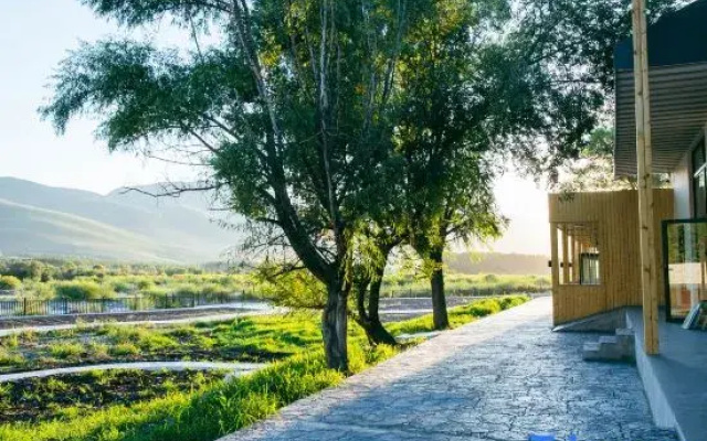 SHEJING Homestay