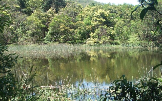 Bountiful Farm House