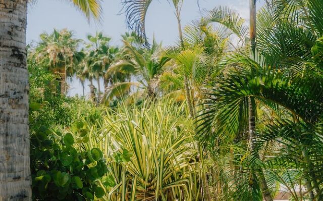 La Poza Boutique Hotel & Spa - Adults Only