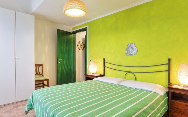 Geranio Sughera in Sughera