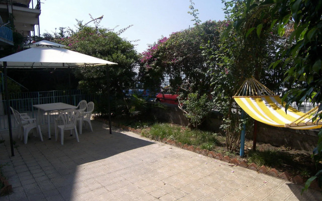 Oasis