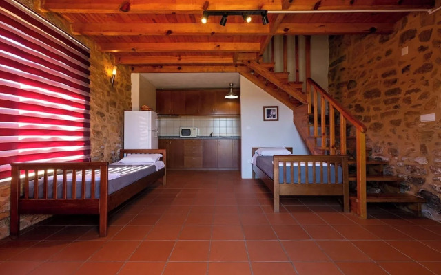 Raízes da Vinha - by Matias Nature