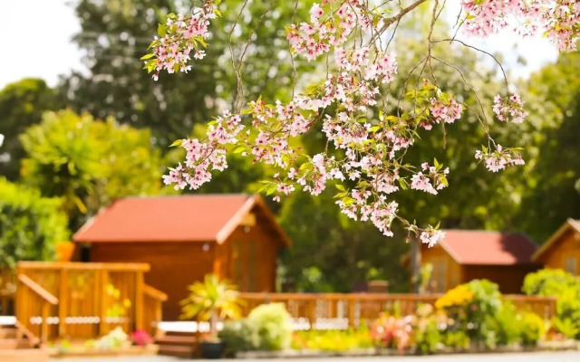 Orere Point TOP 10 Holiday Park