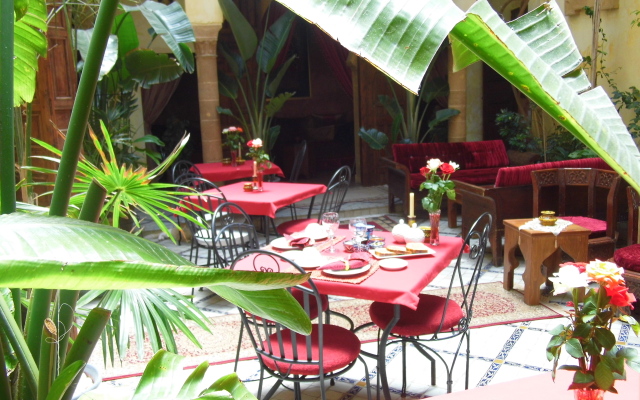 Riad Marlinea