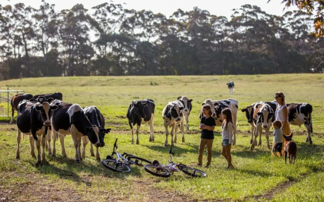 Redgate Forest Retreat