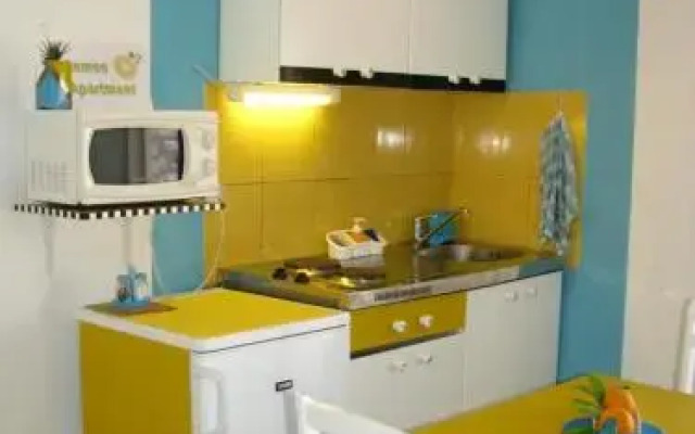 Apartments and Room Lemon