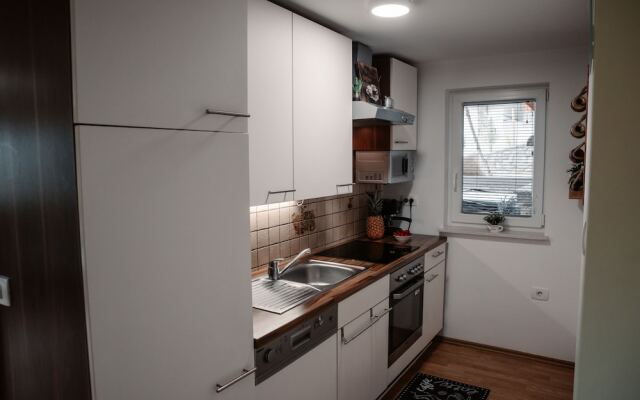 Vineyard cottage Na hribu