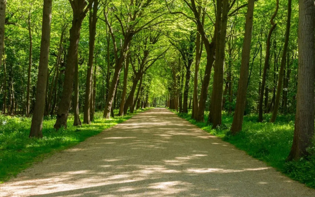 Bungalow Near Dutch Beach With Garden
