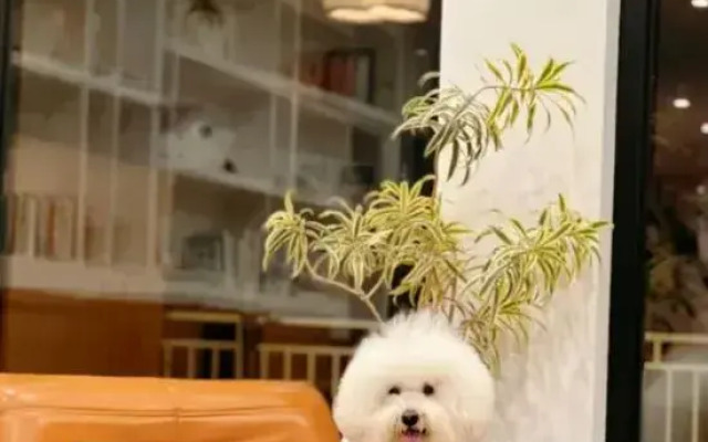 Yishan Yitian Homestay