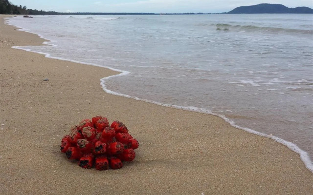 At My Home Resort Bangsaphan