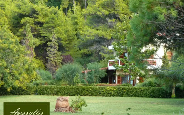 Amaryllis Summer Maisonettes