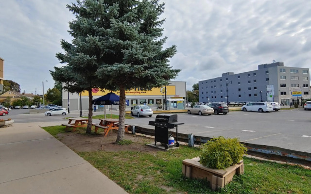 Econo Lodge City Centre