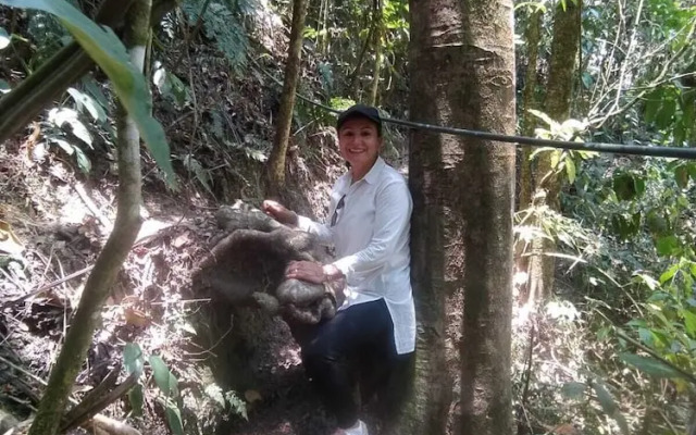 Cabanas Tierra Prometida