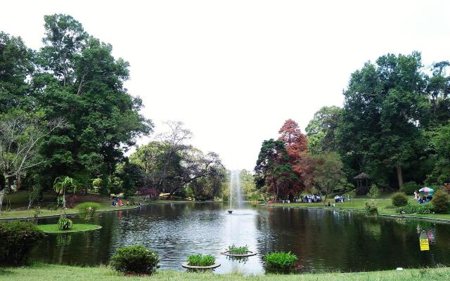 Bobocabin Gunung Mas