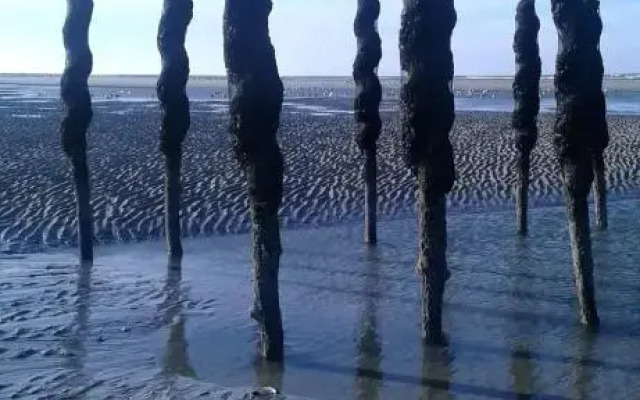 Plaisirs du bord de mer