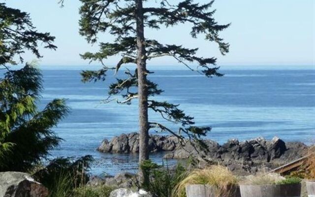 The Ridge by Natural Elements Rentals