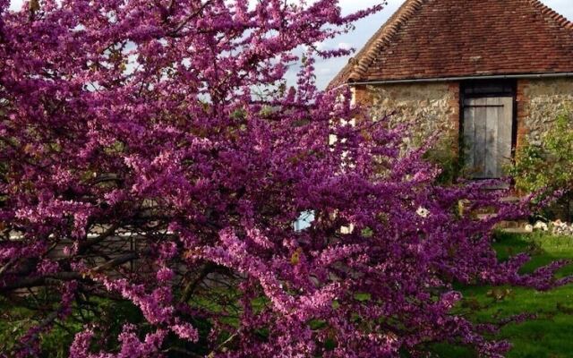 Byre Cottages and Cafe Museum