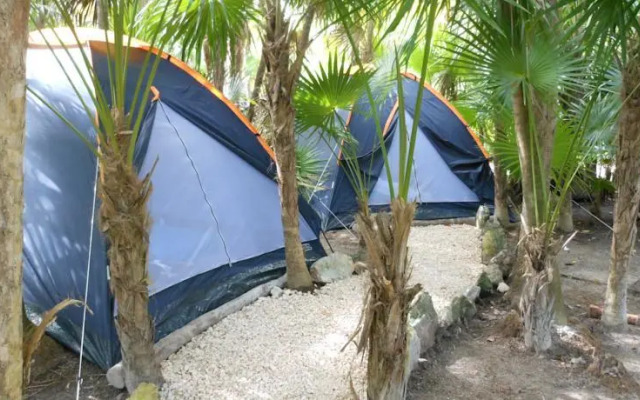 Turquesa Tulum Jungle Camping
