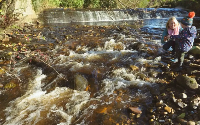 Orchard Glamping - Apartment Pod - Blossom