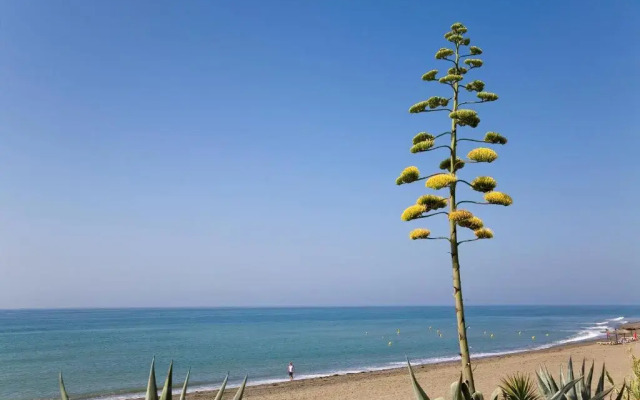 Heaven Beach Apartments, Apt 402