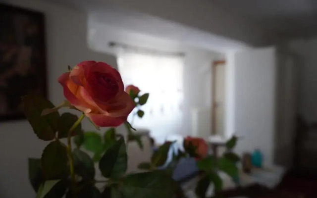 Stephania's Stone House