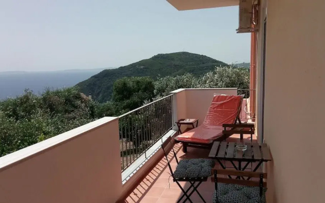 Olive Tree Apartment