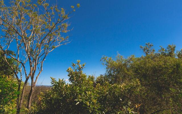 Finca Rosa Blanca Coffee Farm and Inn