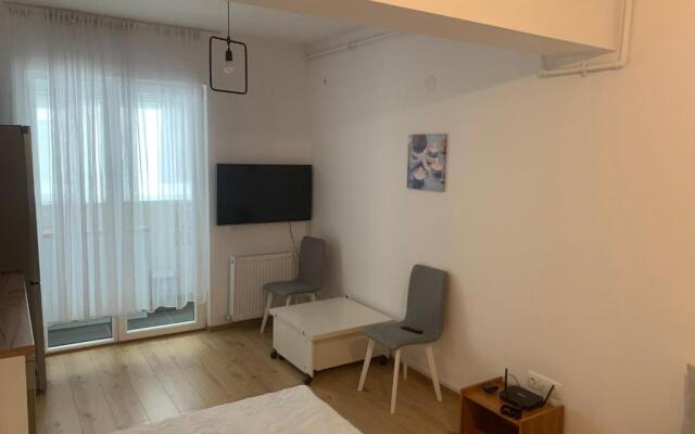 Cosmin Apartament Sondelor