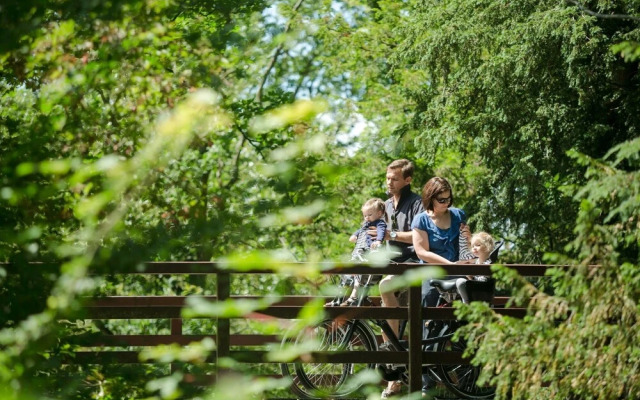 Moder Chalet With a Dishwasher, Behind the Dunes
