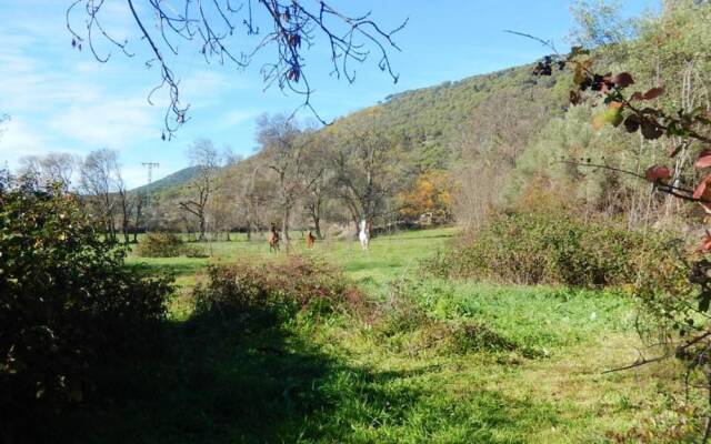 House With 8 Bedrooms in Cenicientos, With Wonderful Mountain View and