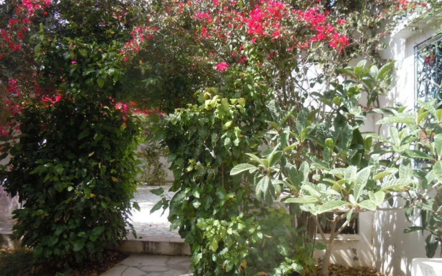 House With Garden Wala