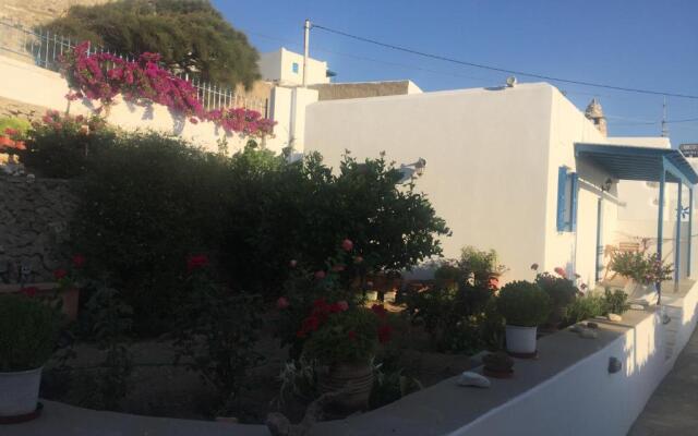 Cycladic houses in rural surrounding 4