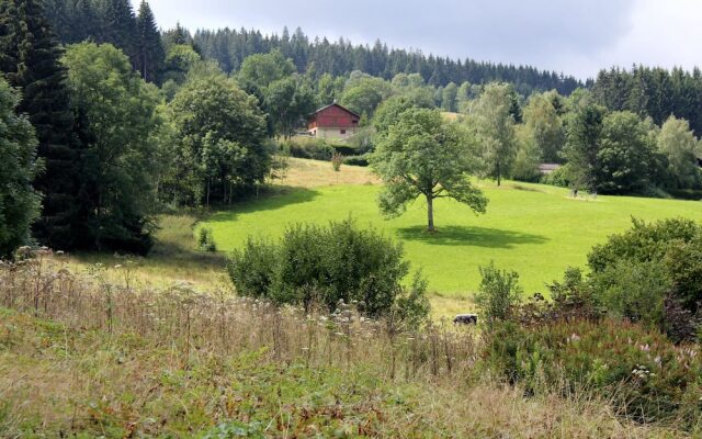 Apartment With one Bedroom in Xonrupt-longemer, With Wonderful Mountai