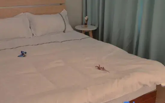 The B&B