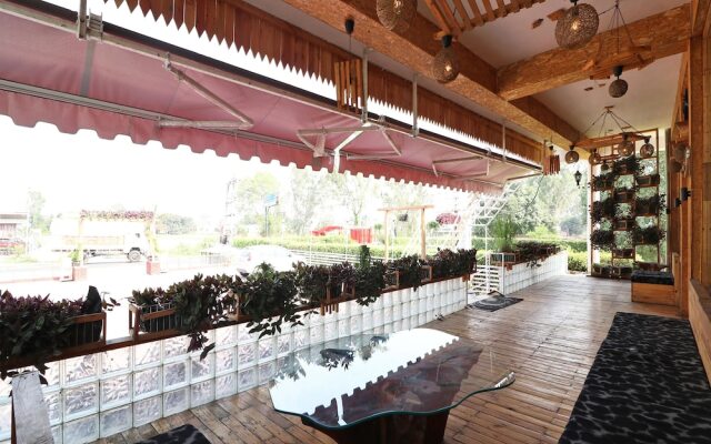 Oyo 14802 Hotel Virus Bistro