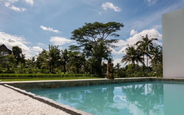 White Cubes Villas