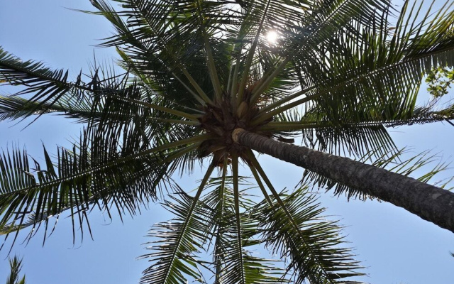 The Palms by Lost Beach Vacations