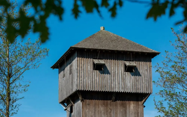 Bungalow Near Dutch Beach With Garden