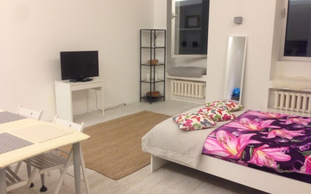 SPB Rentals Apartment