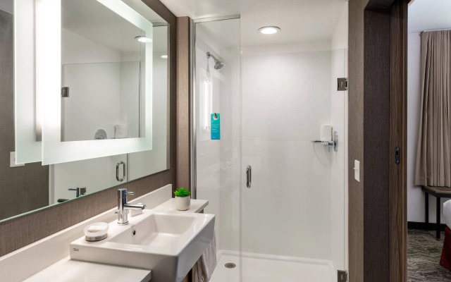 SpringHill Suites by Marriott Chattanooga South/Ringgold, GA