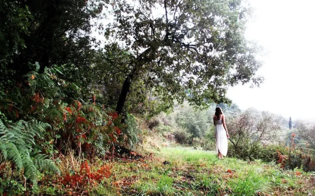 B&B L' Aquila dell' Etna