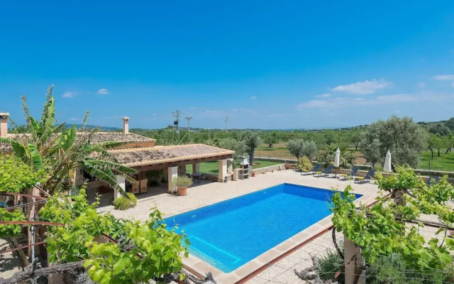 SA Parellada - Premium