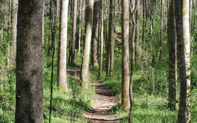 The Colonels B&B and Inn